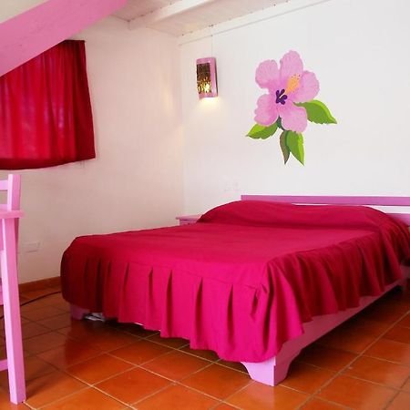 Hotel Casa Nina Las Terrenas Rum bild